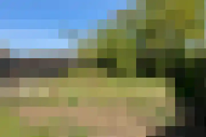 Schuttekampstraat 3 Belfeld thumbnail 24