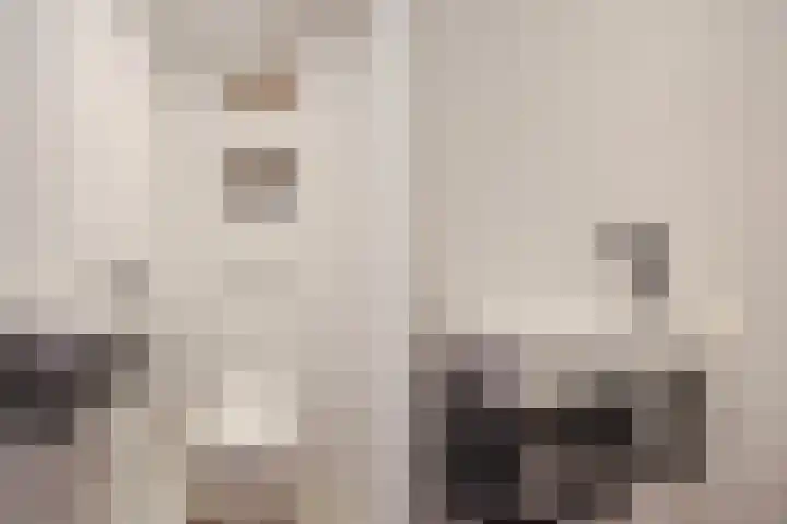Schuttekampstraat 3 Belfeld thumbnail 27