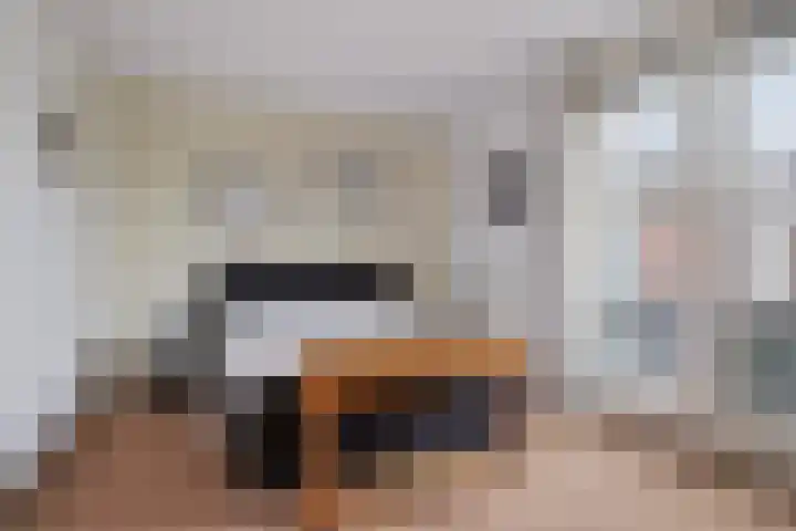 Schutter 23 Asten thumbnail 13