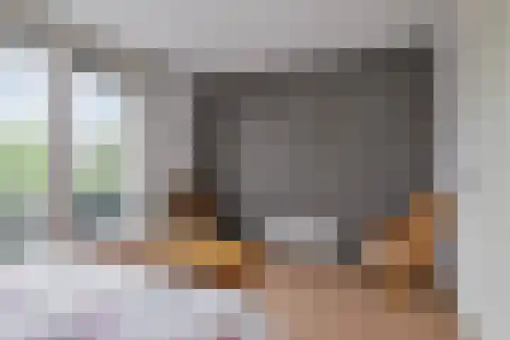 Schutter 23 Asten thumbnail 14