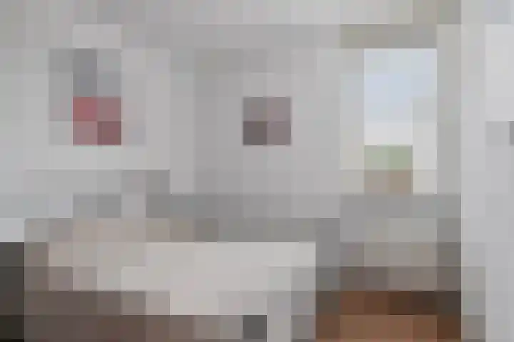 Schutter 23 Asten thumbnail 15