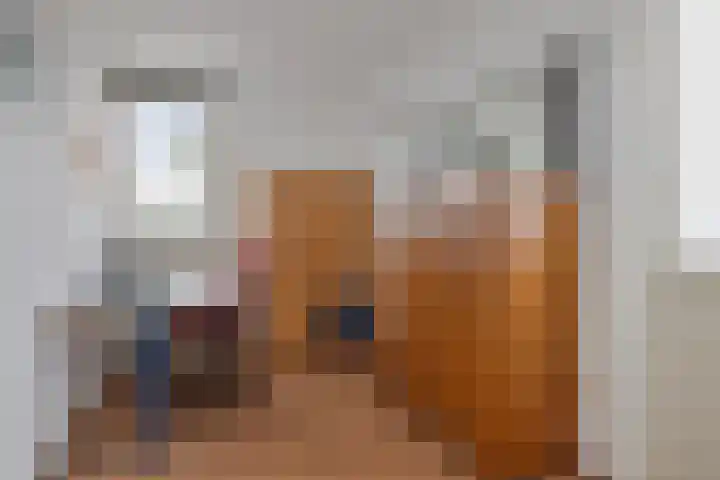 Schutter 23 Asten thumbnail 16