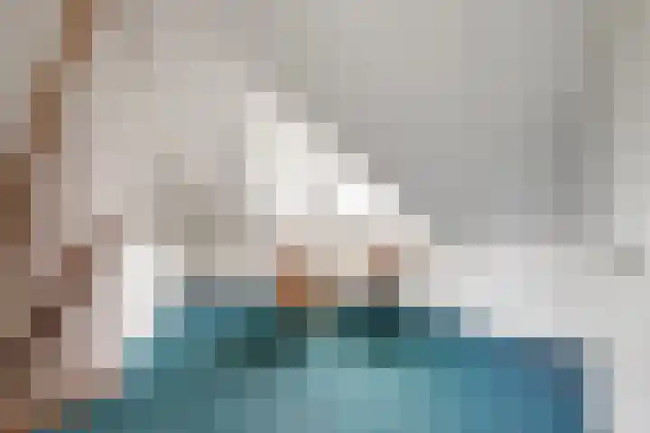 Schutter 23 Asten thumbnail 18