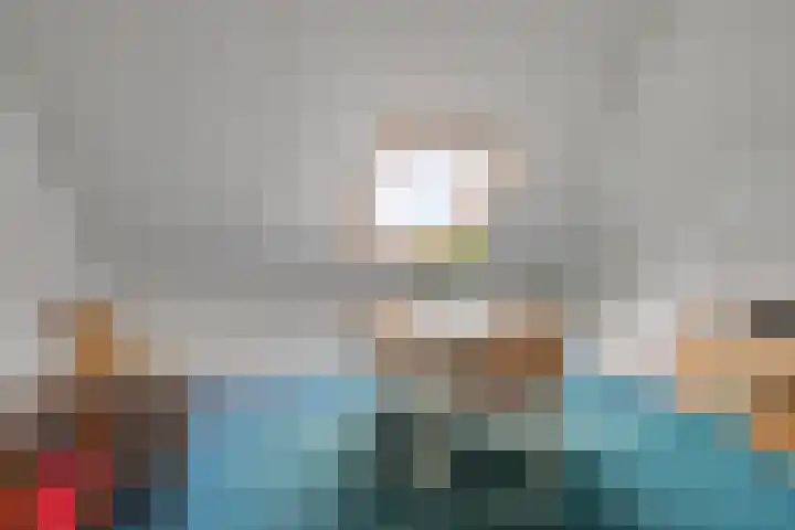 Schutter 23 Asten thumbnail 19