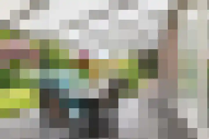 Schutter 23 Asten thumbnail 21