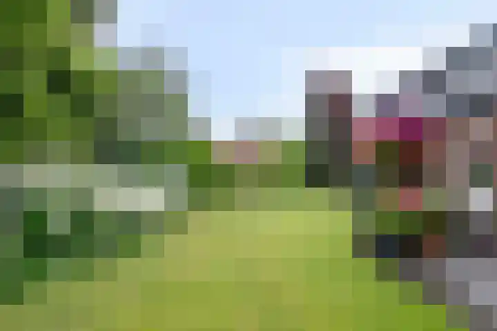 Schutter 23 Asten thumbnail 22