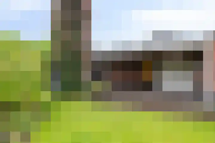 Schutter 23 Asten thumbnail 23