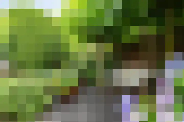 Schutter 23 Asten thumbnail 24