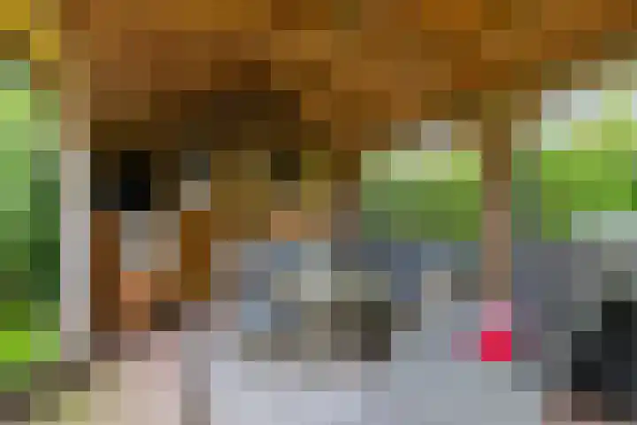 Schutter 23 Asten thumbnail 25