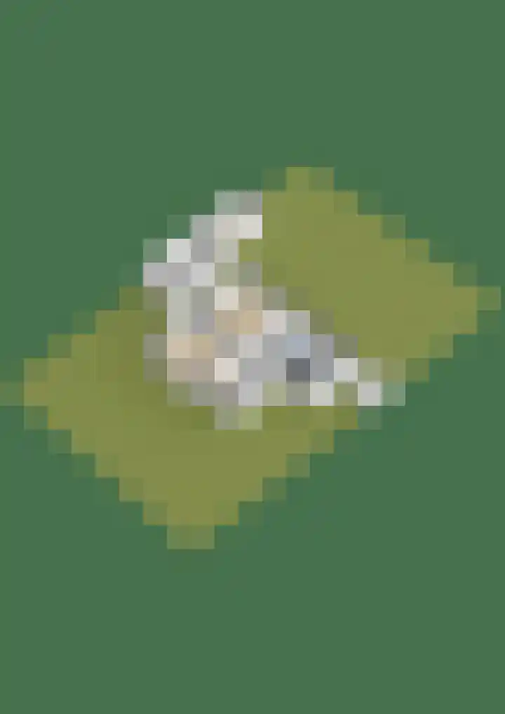 Schutterhoeflaan 18 Leusden thumbnail 38