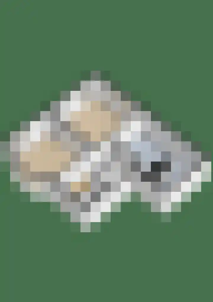 Schutterhoeflaan 18 Leusden thumbnail 40