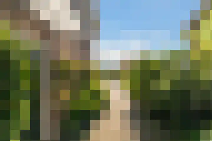 Schutterhoeflaan 41 Leusden thumbnail 4