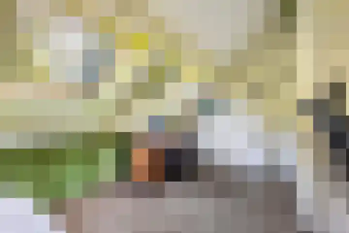 Schutterhoeflaan 41 Leusden thumbnail 48