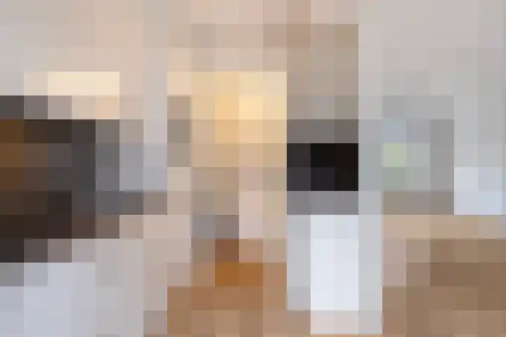 Schutterijakker 3 Nuenen thumbnail 12