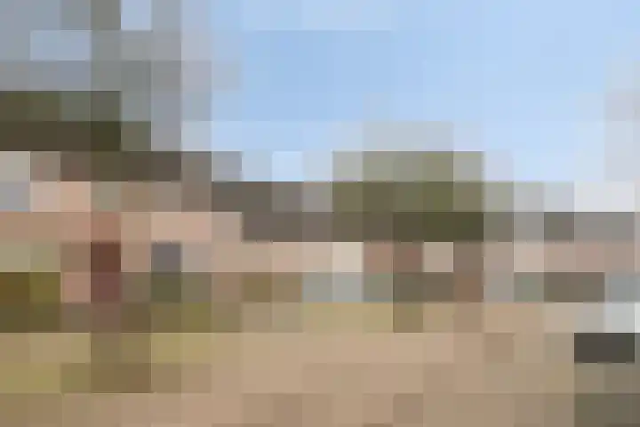 Schutterijakker 3 Nuenen thumbnail 24