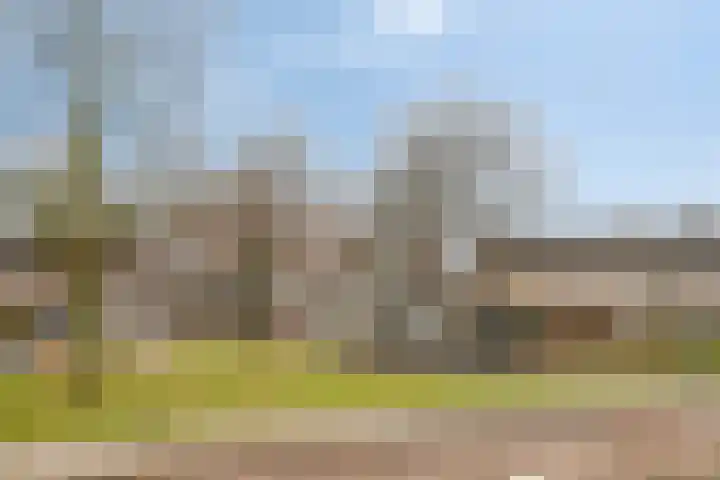 Schutterijakker 3 Nuenen thumbnail 25