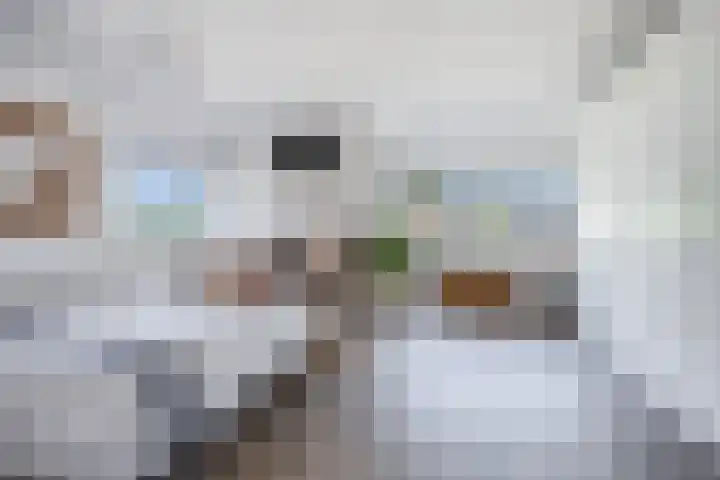 Schutterijveld 9 Sprundel thumbnail 19