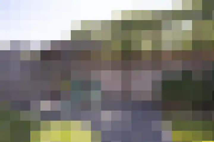 Schutterijveld 9 Sprundel thumbnail 41