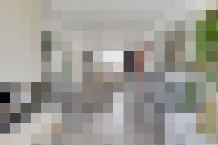 Schutterlaan 53 Eindhoven thumbnail 10