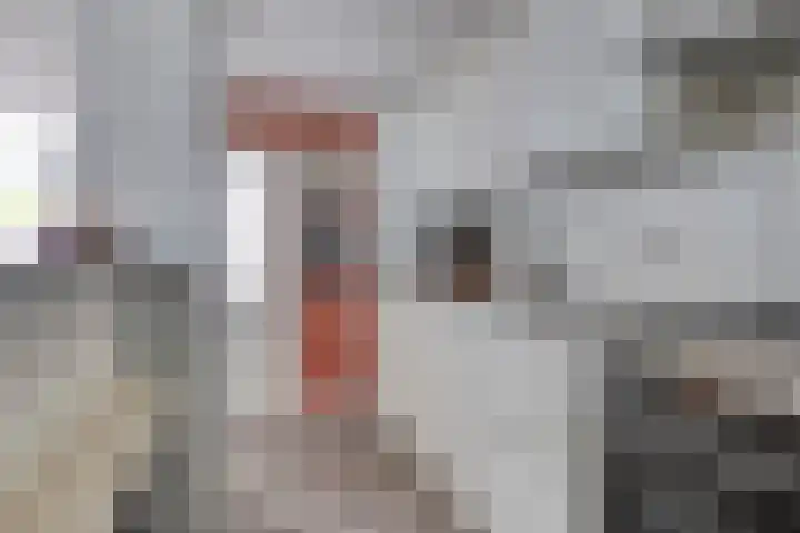 Schutterlaan 53 Eindhoven thumbnail 13