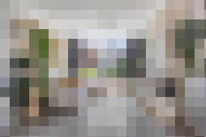 Schutterlaan 53 Eindhoven thumbnail 8