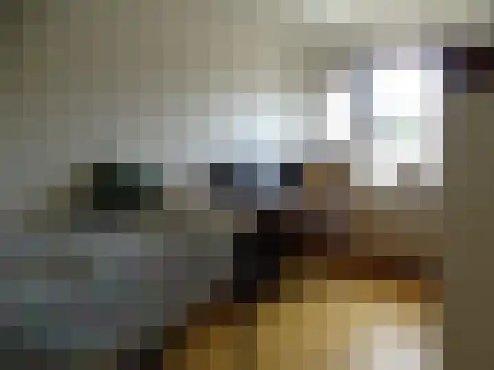 Schuttersdreef 3 Elsloo thumbnail 16
