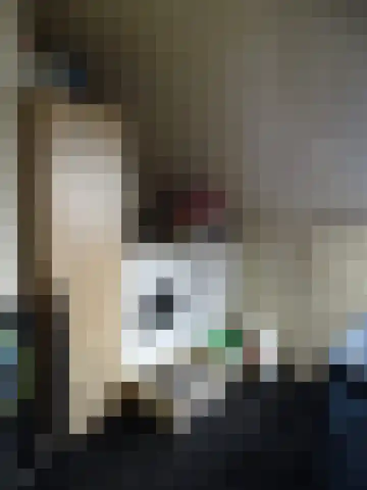 Schuttersdreef 3 Elsloo thumbnail 20