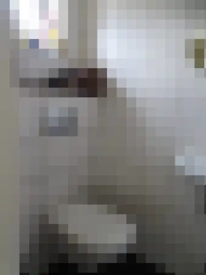 Schuttersdreef 3 Elsloo thumbnail 4