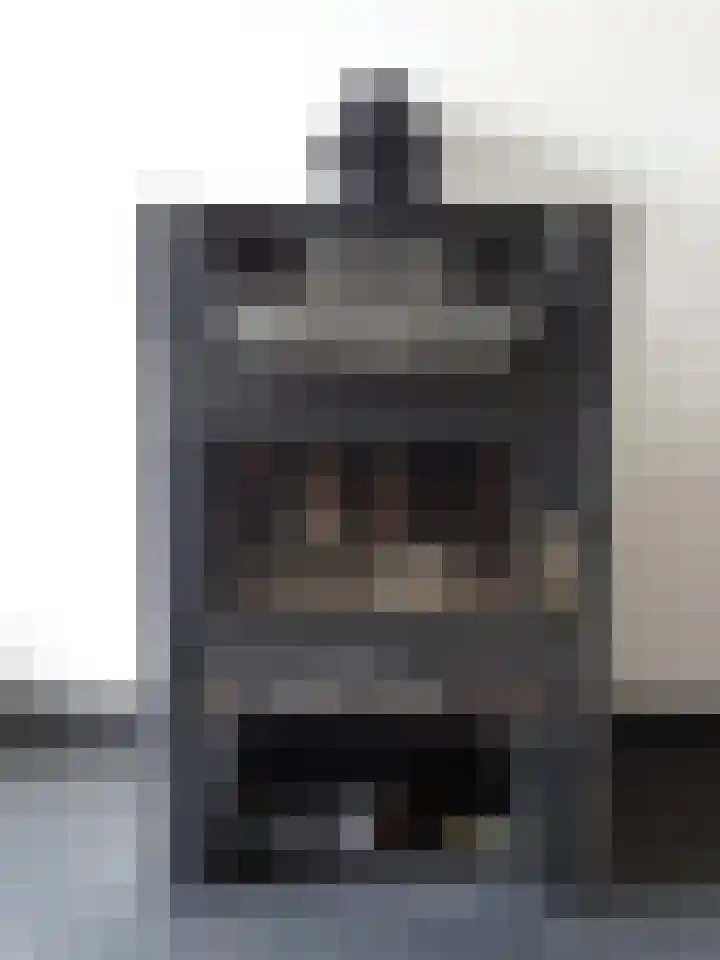 Schuttersdreef 3 Elsloo thumbnail 7