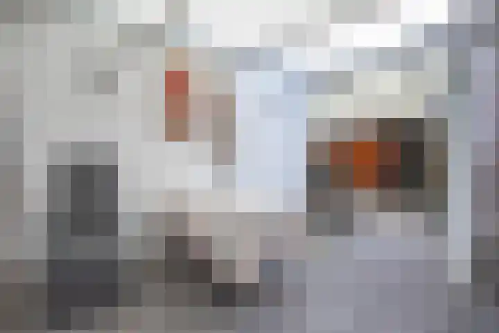 Schuttersdreef 31 Heythuysen thumbnail 20