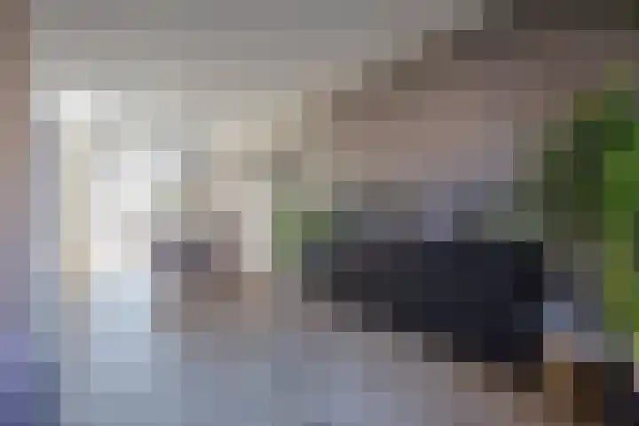 Schuttersdreef 55 Heythuysen thumbnail 7