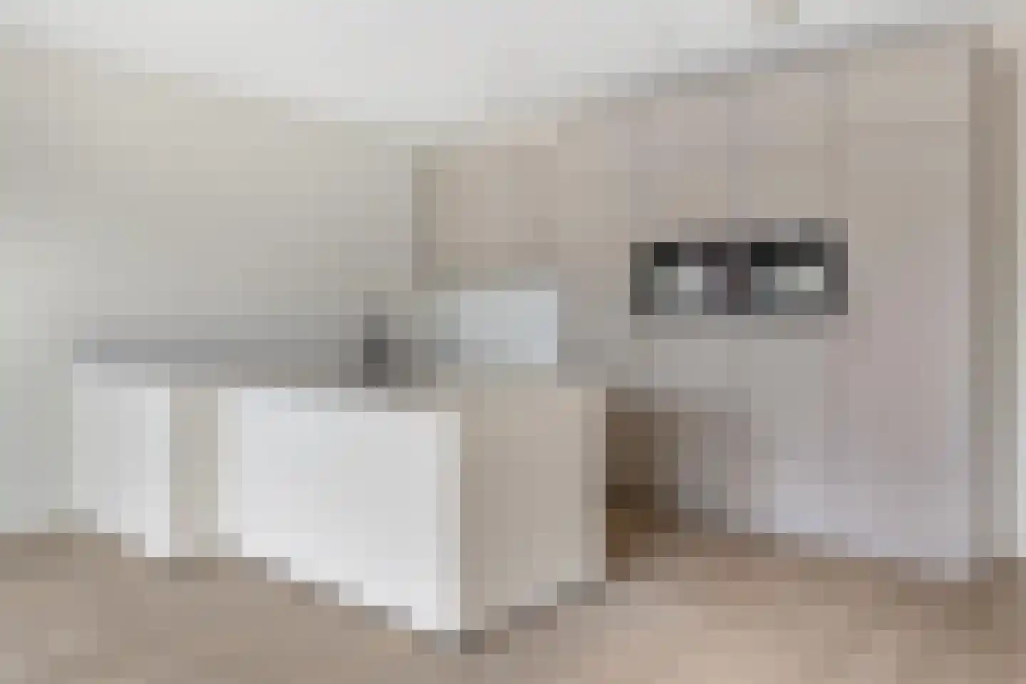 Schuttershof 10 16 Goes thumbnail 5