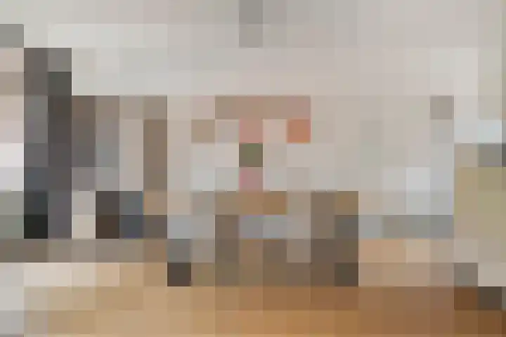 Schuttershof 12 Goes thumbnail 11