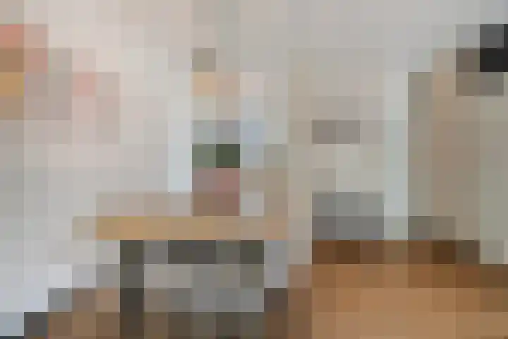 Schuttershof 12 Goes thumbnail 13