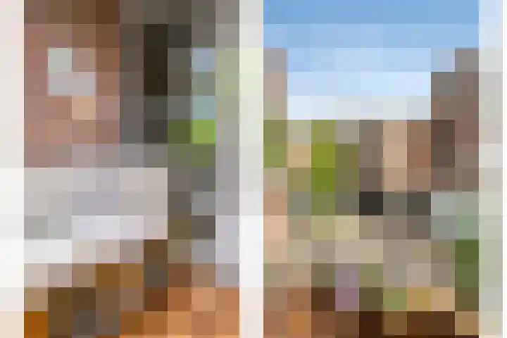 Schuttershof 12 Goes thumbnail 20