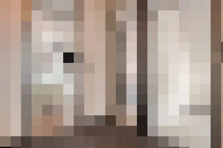 Schuttershof 12 Goes thumbnail 23