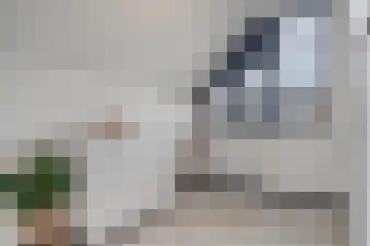 Schuttershof 12 Goes thumbnail 29