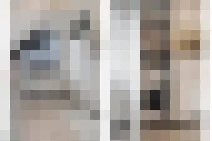 Schuttershof 12 Goes thumbnail 31