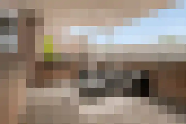 Schuttershof 12 Goes thumbnail 36