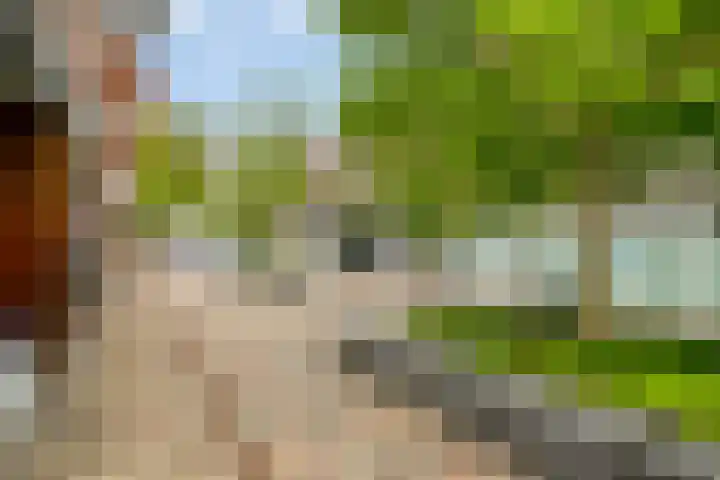 Schuttershof 12 Goes thumbnail 38