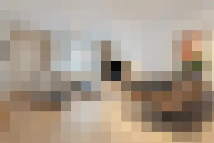 Schuttershof 17 Goes thumbnail 10
