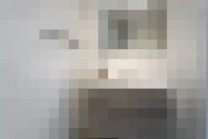 Schuttershof 17 Goes thumbnail 20