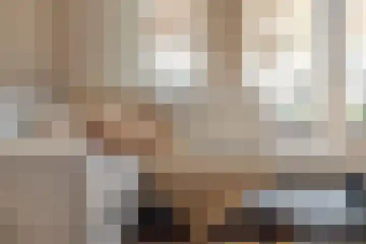 Schuttershof 17 Goes thumbnail 8