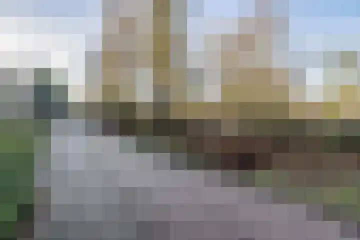 Schutterspad 41 Heelsum thumbnail 47
