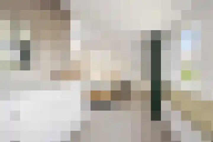 Schuttersstraat 20 Didam thumbnail 16
