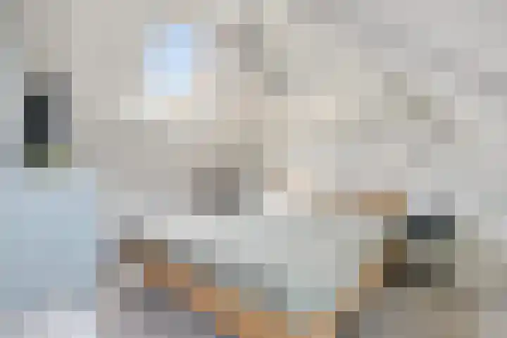 Schuttersstraat 20 Didam thumbnail 17