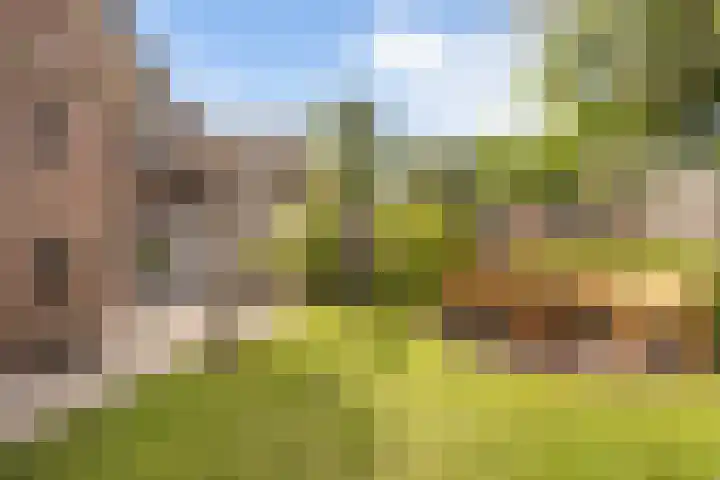 Schuttersstraat 20 Didam thumbnail 30