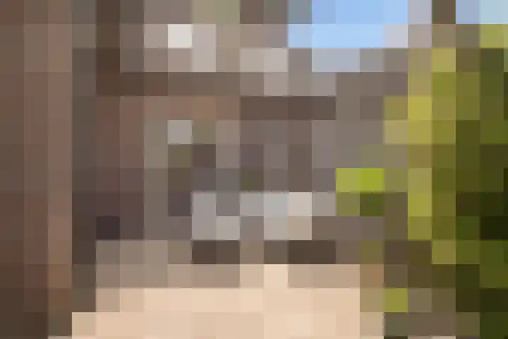 Schuttersstraat 20 Didam thumbnail 32