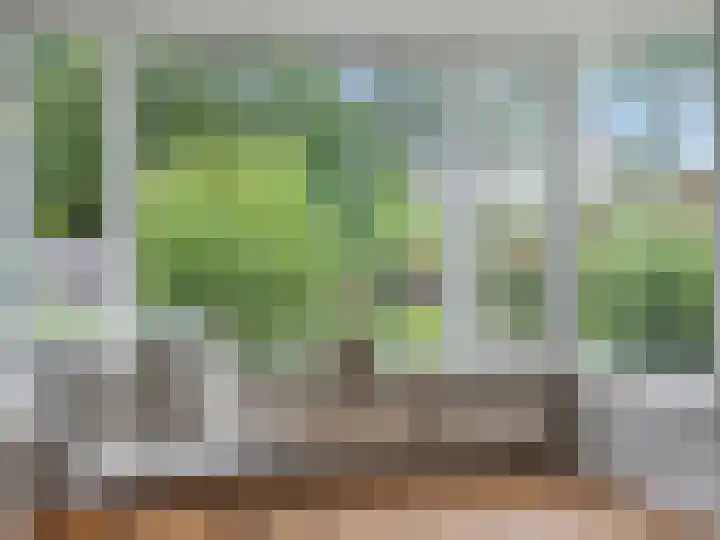 Schuttersstraat 20 Didam thumbnail 4