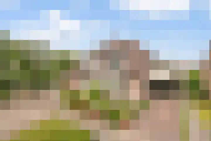 Schuttersstraat 20 Didam thumbnail 47
